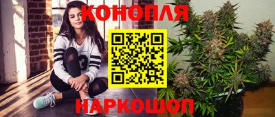 тгк Славгород