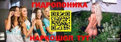 тгк Славгород
